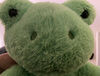 fairyfrog7oo7
